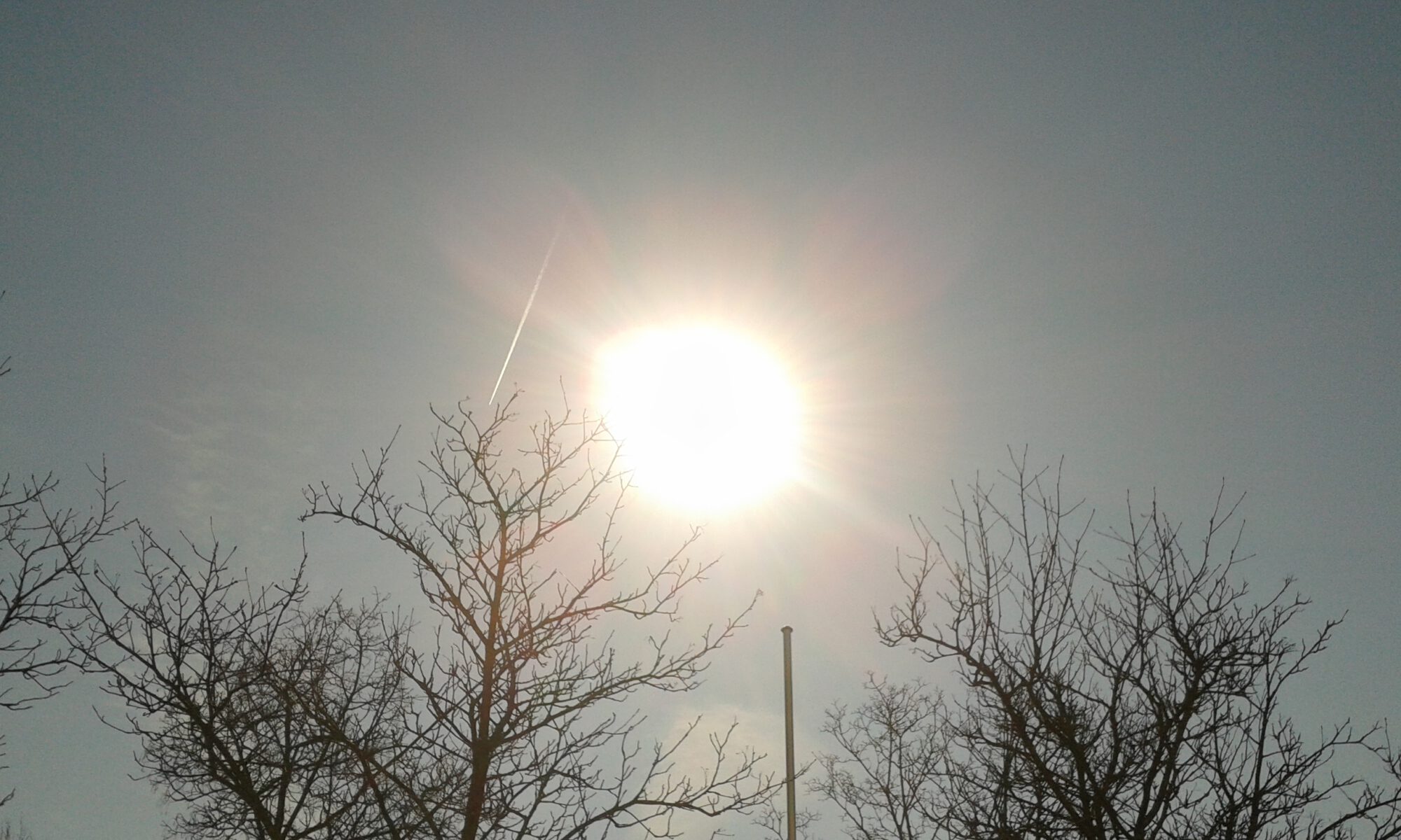 der Sonne entgegen - wackerl.de Robert Wackerl